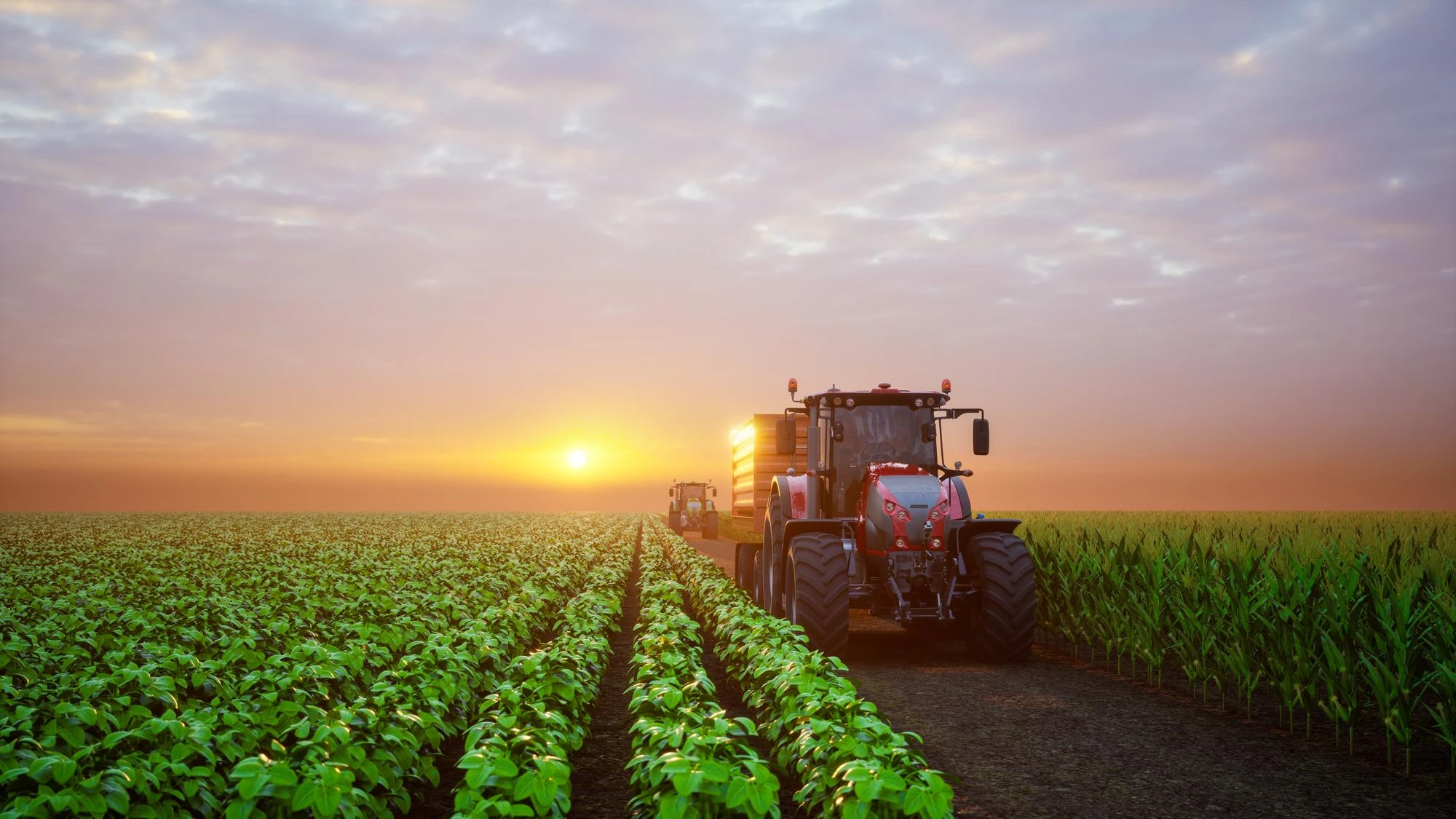 Tractor in field